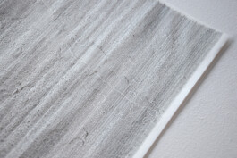 Saskia Van der Gucht