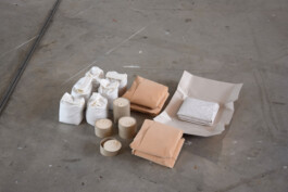 Saskia Van der Gucht