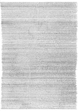 Saskia Van der Gucht